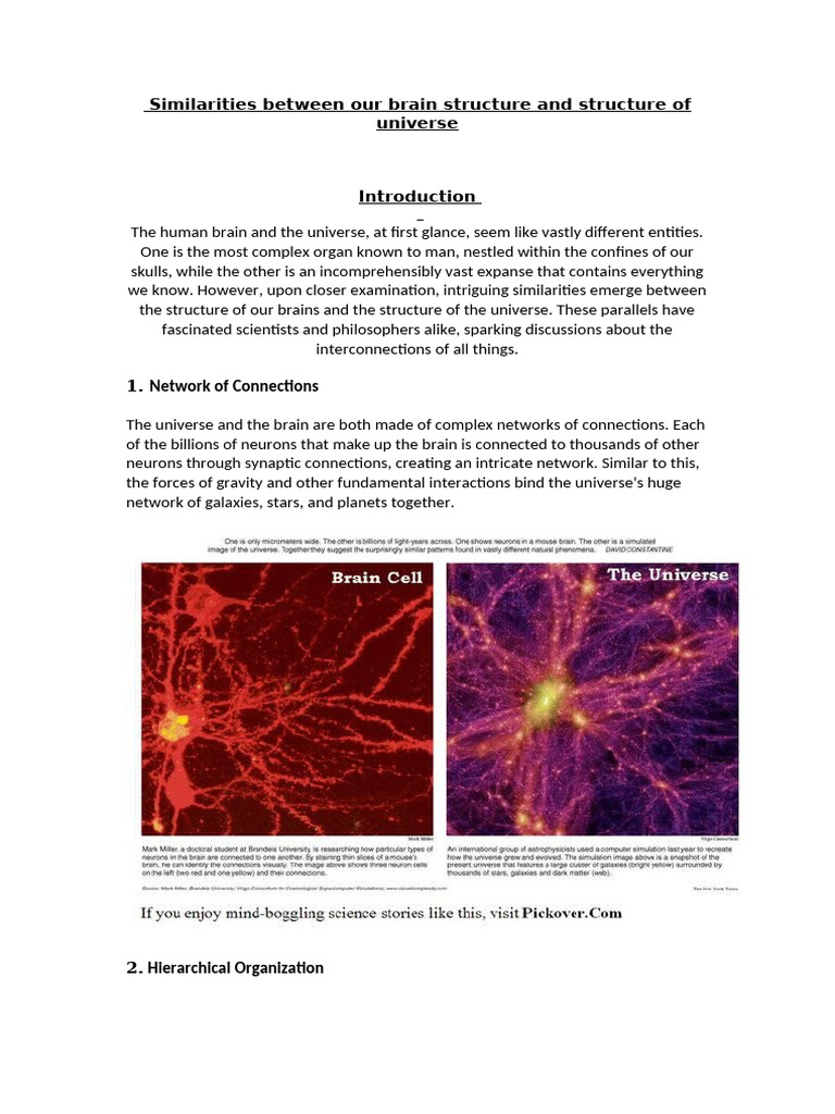 Similarities Between Our Brain Structure and Stru | PDF | Universe | Brain