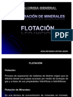 Flotación de Minerales