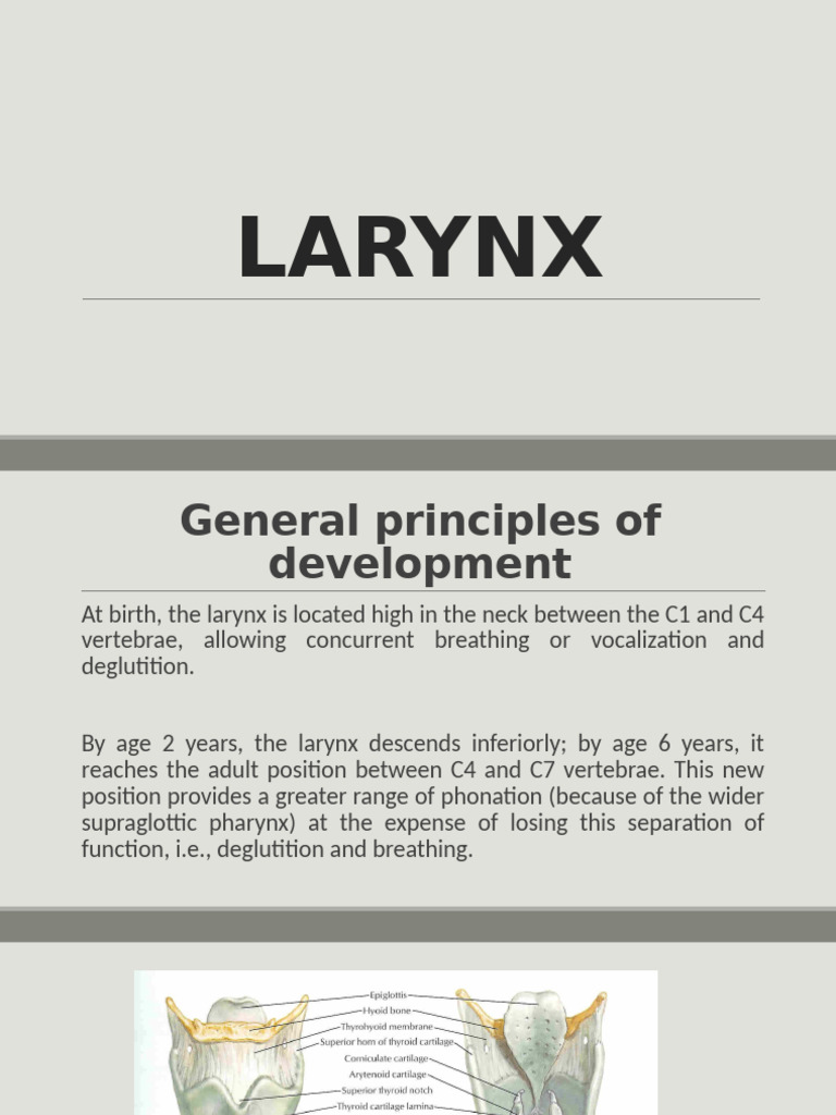 Anatomy and Function of the Larynx | PDF | Larynx | Human Voice