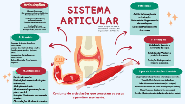 Tipos e Funções das Articulações | PDF | Joelho | Articulações
