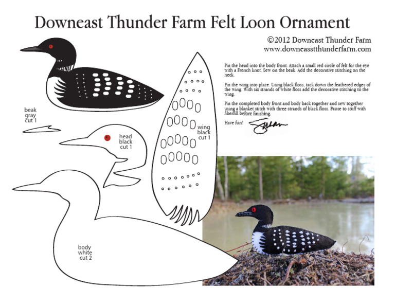 Loon | PDF