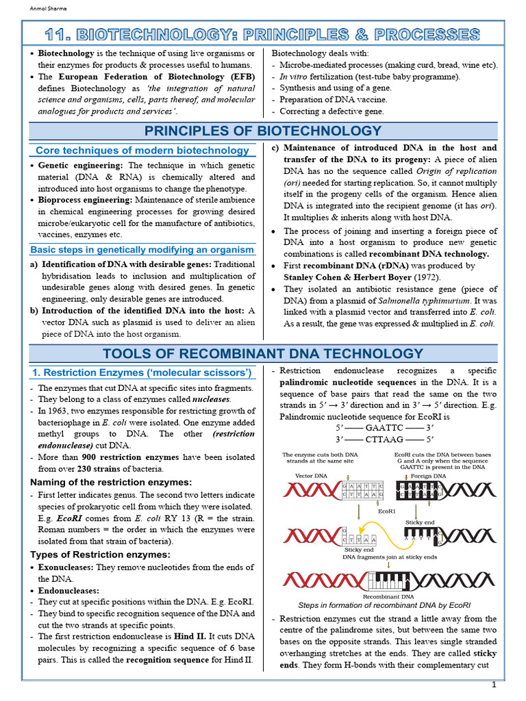 Biotechnology Principles Overview | PDF | Molecular Cloning ...