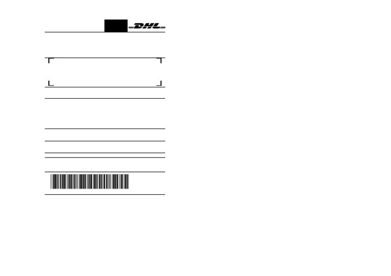 DHL Waybill for International Shipment | PDF