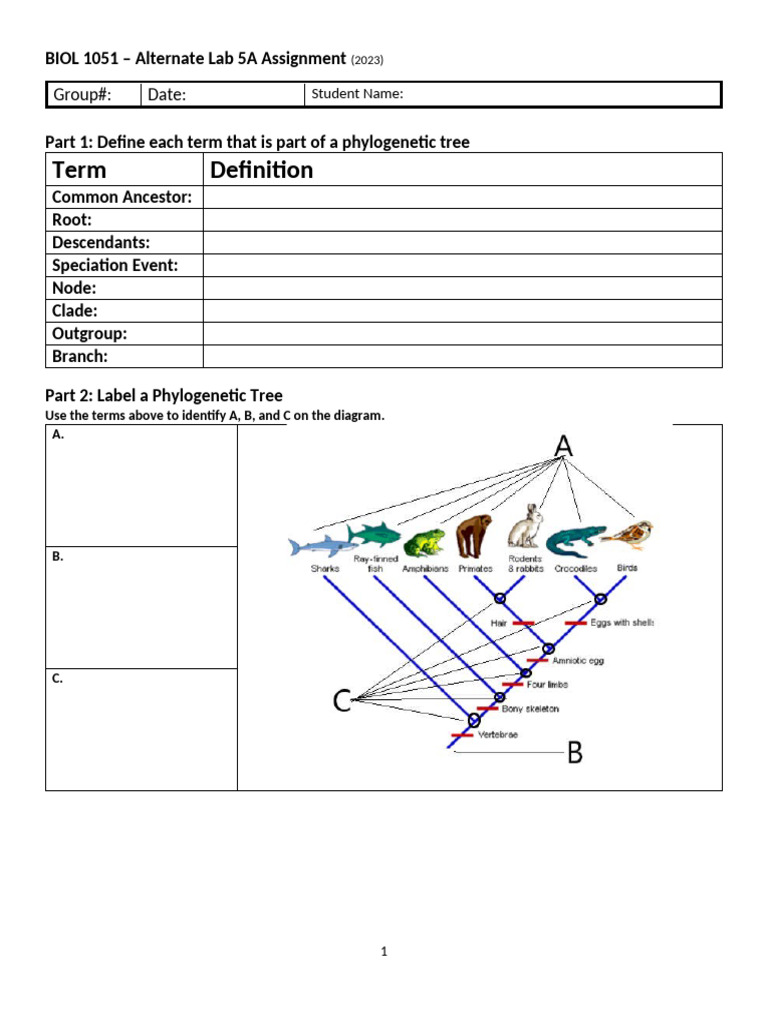 Group#: Date:: BIOL 1051 - Alternate Lab 5A Assignment | PDF | Science ...