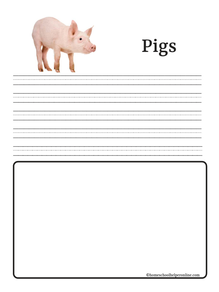 Swine Pig NB HHO | PDF