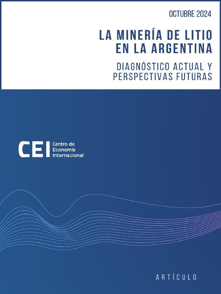 Minería de Litio en Argentina: Perspectivas 2024 | PDF | Litio | Minería