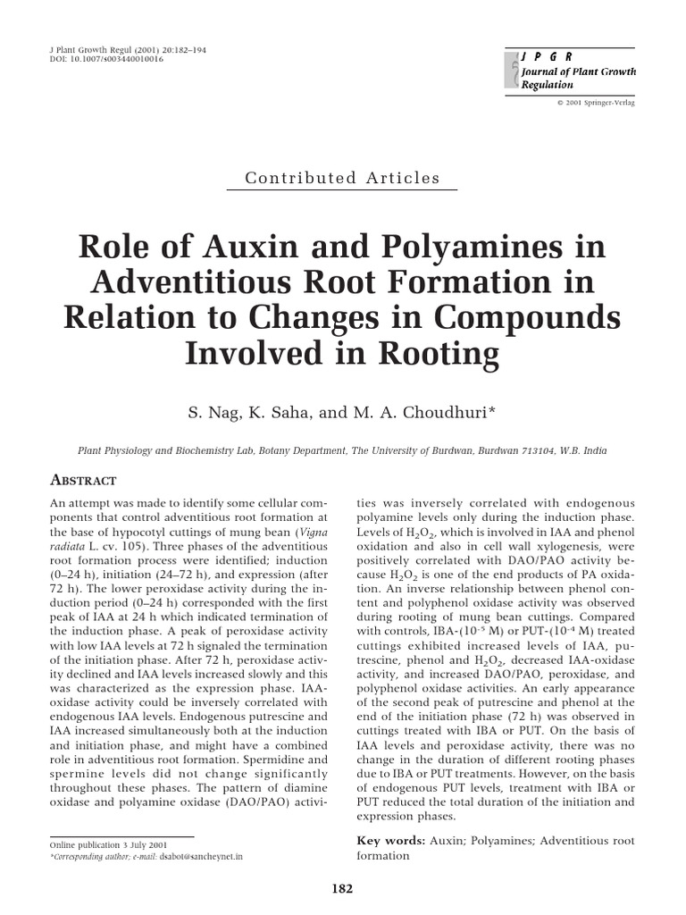 Auxin and Polyamines in Root Formation | PDF | Enzyme Assay | Root