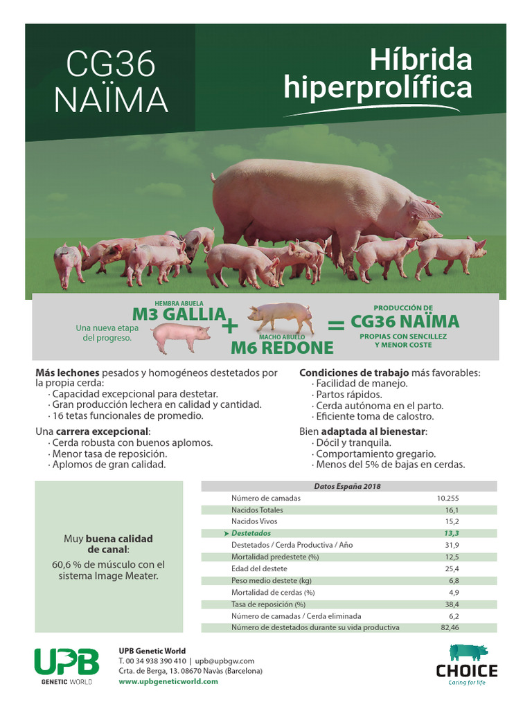 Lechones Destetados por Madre CG36 Naïma | PDF