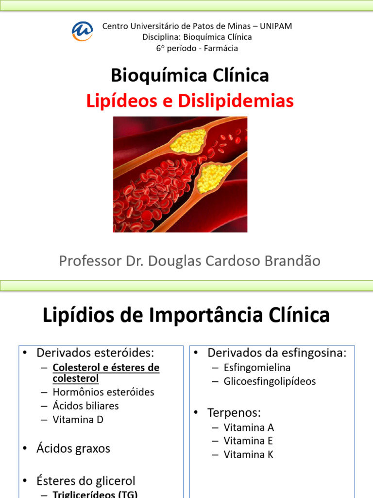 Aula 4 - Lipídeos e Dislipidemias | PDF | Colesterol | Lipídio