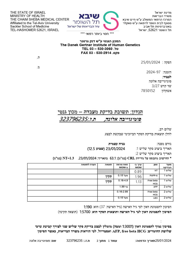 Sheba File 1708500053652 | PDF