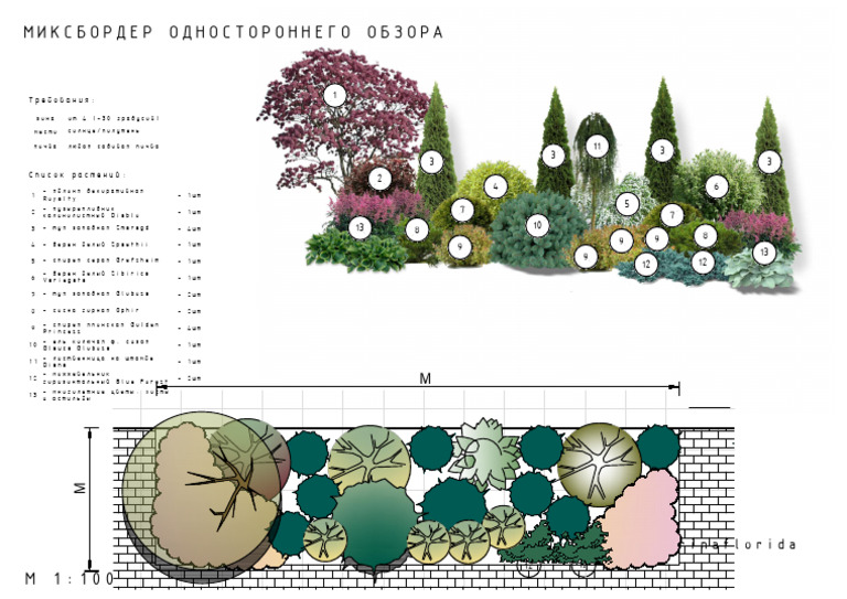 Plant Varieties and Care Guide | PDF