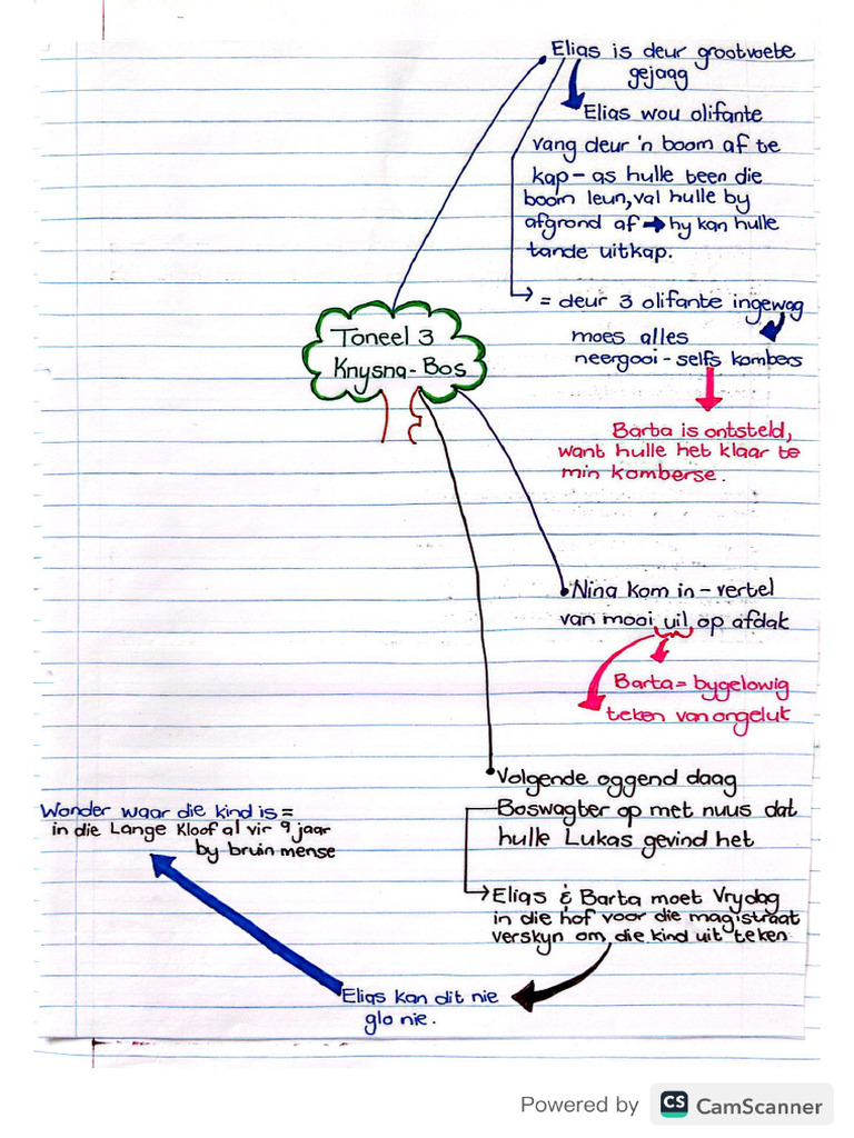 Fiela Se Kind Summary | PDF