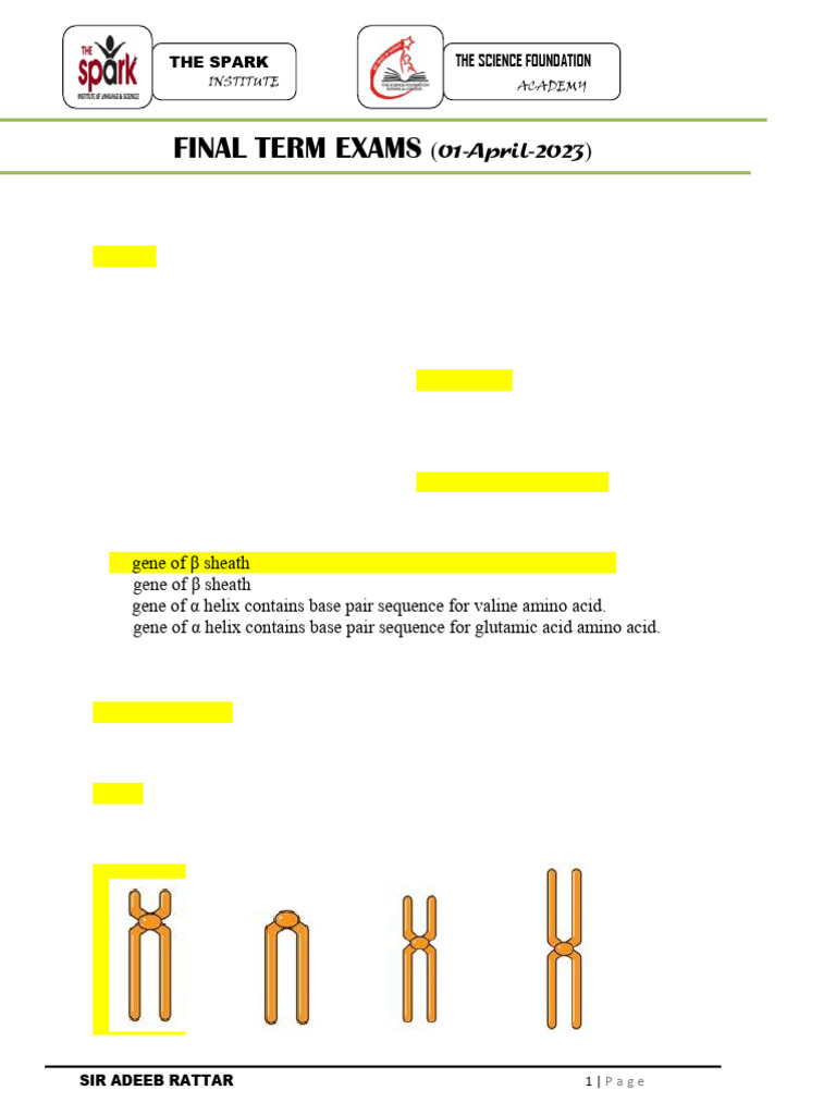 Final Term Exam Questions - Biology | PDF | Dominance (Genetics ...
