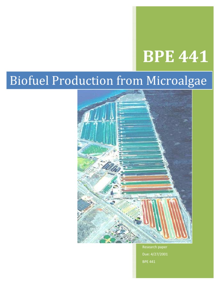 Algal biofuel research paper picture