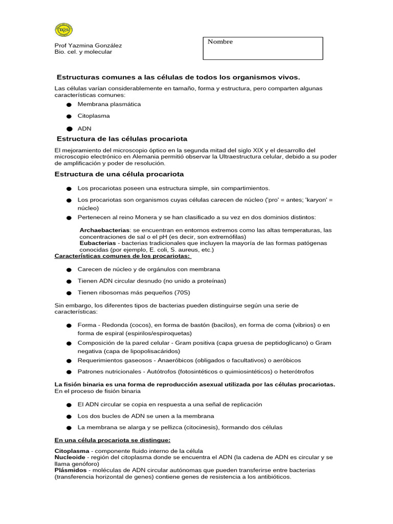 Celula Procariota | PDF | Las bacterias | Biología Celular)