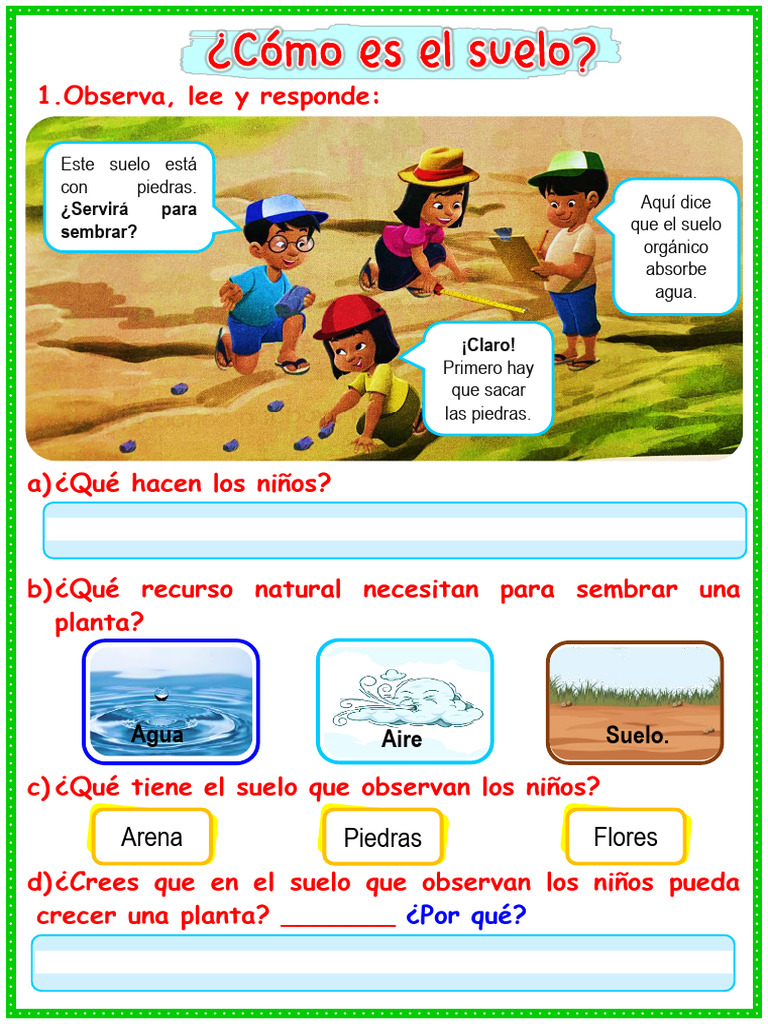 Tipos de Suelo para Niños en Primaria | PDF | Suelo | Botánica