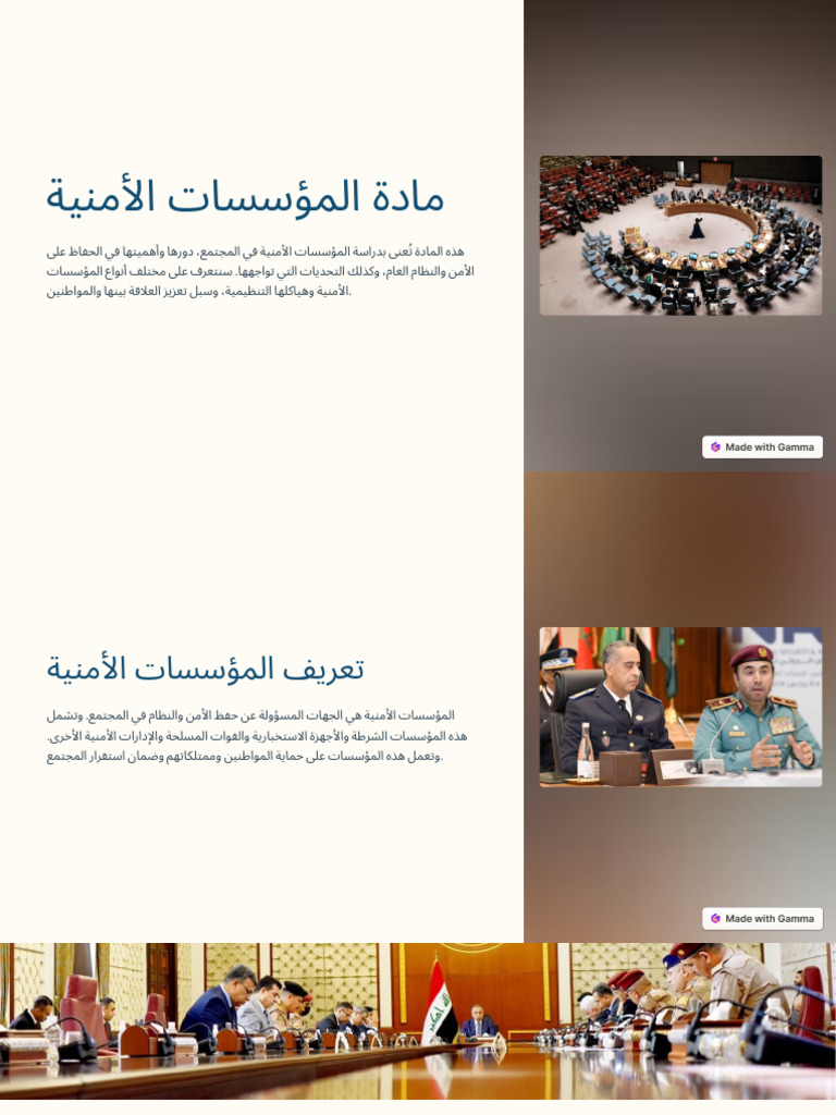 Interpol | PDF