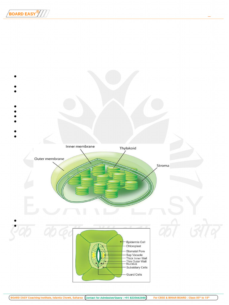 CH - 06 Life Processes | PDF | Cellular Respiration | Blood Pressure