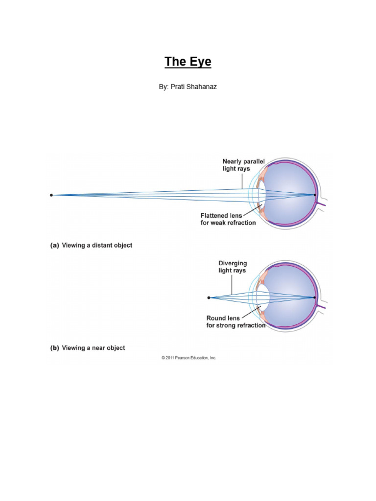 Eye Part 2 | PDF | Myopia | Eye