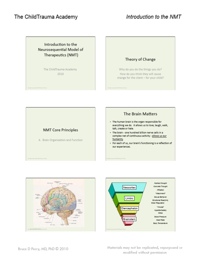 Introductionnmt To The Neurosequential Model of Therapeutics | PDF ...