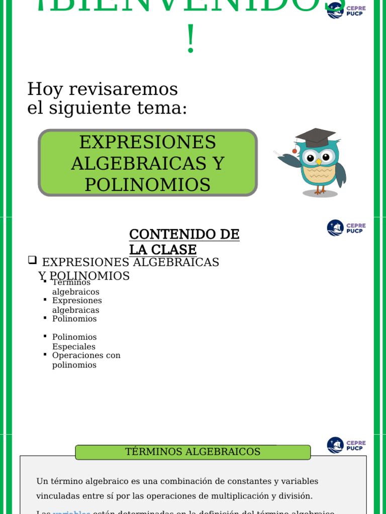 Polinomios y Expresiones Algebraicas | PDF | Polinomio | Variable ...