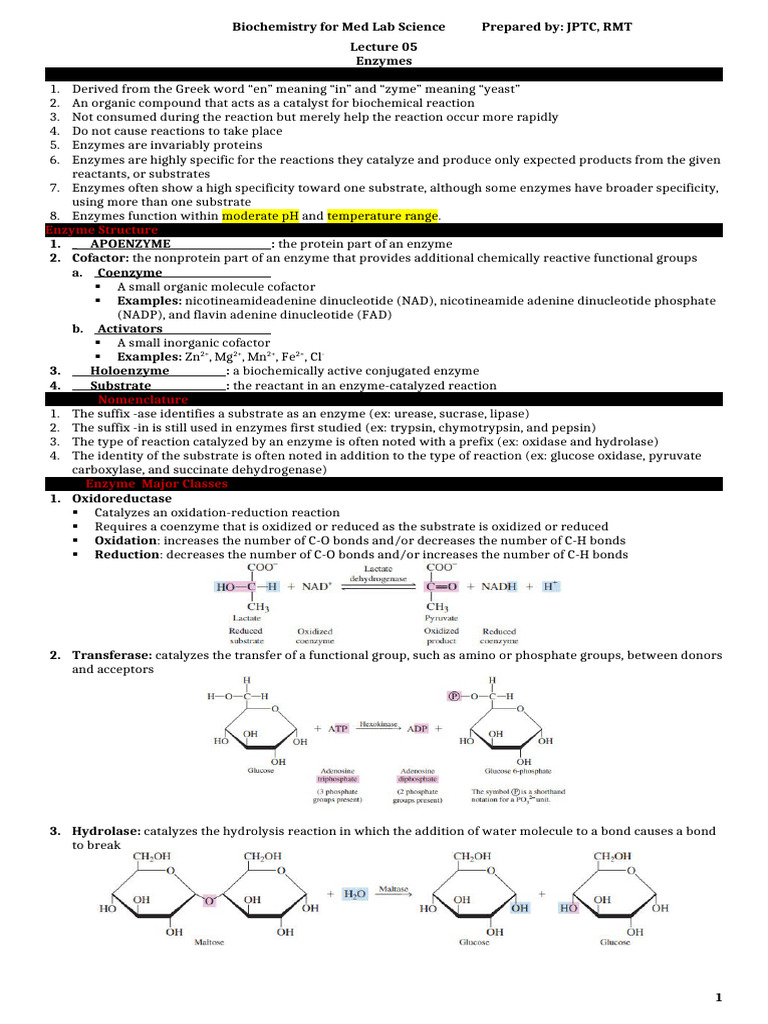 Biochem Lecture 05 Enzymes | PDF | Enzyme | Enzyme Inhibitor