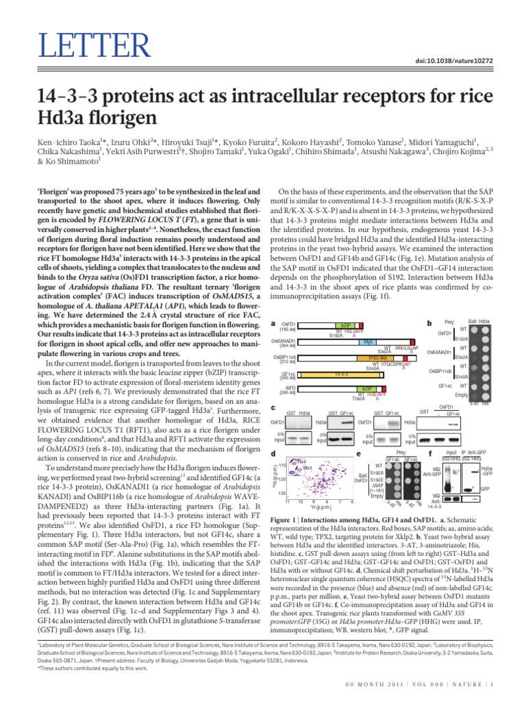 14-3-3 Proteins as Florigen Receptors in Rice | PDF | Nutrients | Life ...