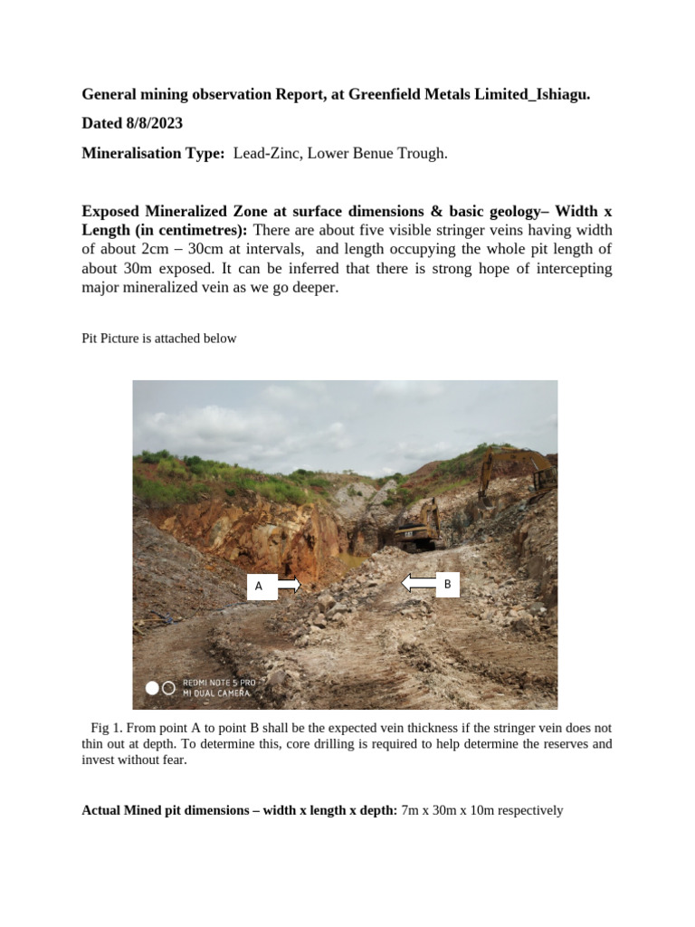 Greenfield Metals Mining Observation Report | PDF | Mining | Personal ...