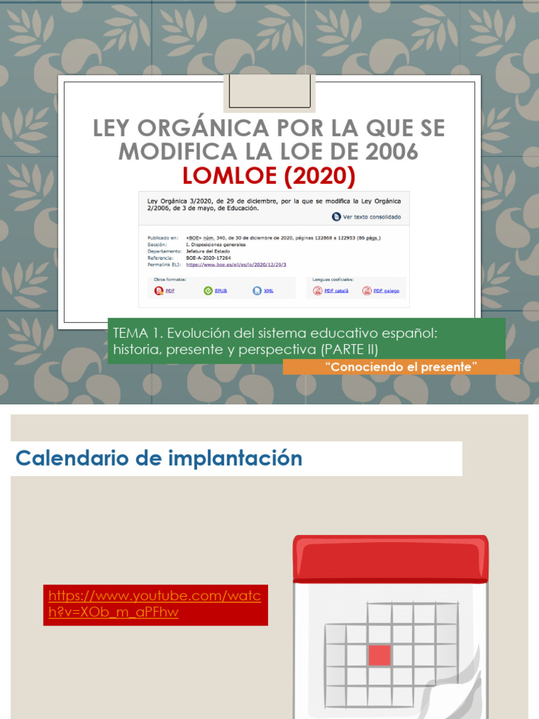 Tema 2 Gice | PDF | Educación primaria | Plan de estudios