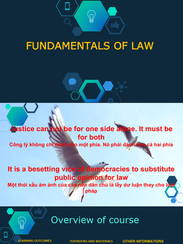 Fundamentals of Law Overview and Concepts | PDF | Prosecutor | Burden ...