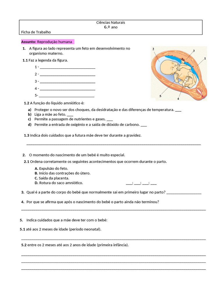 Reprodução Humana e Cuidados Maternos | PDF