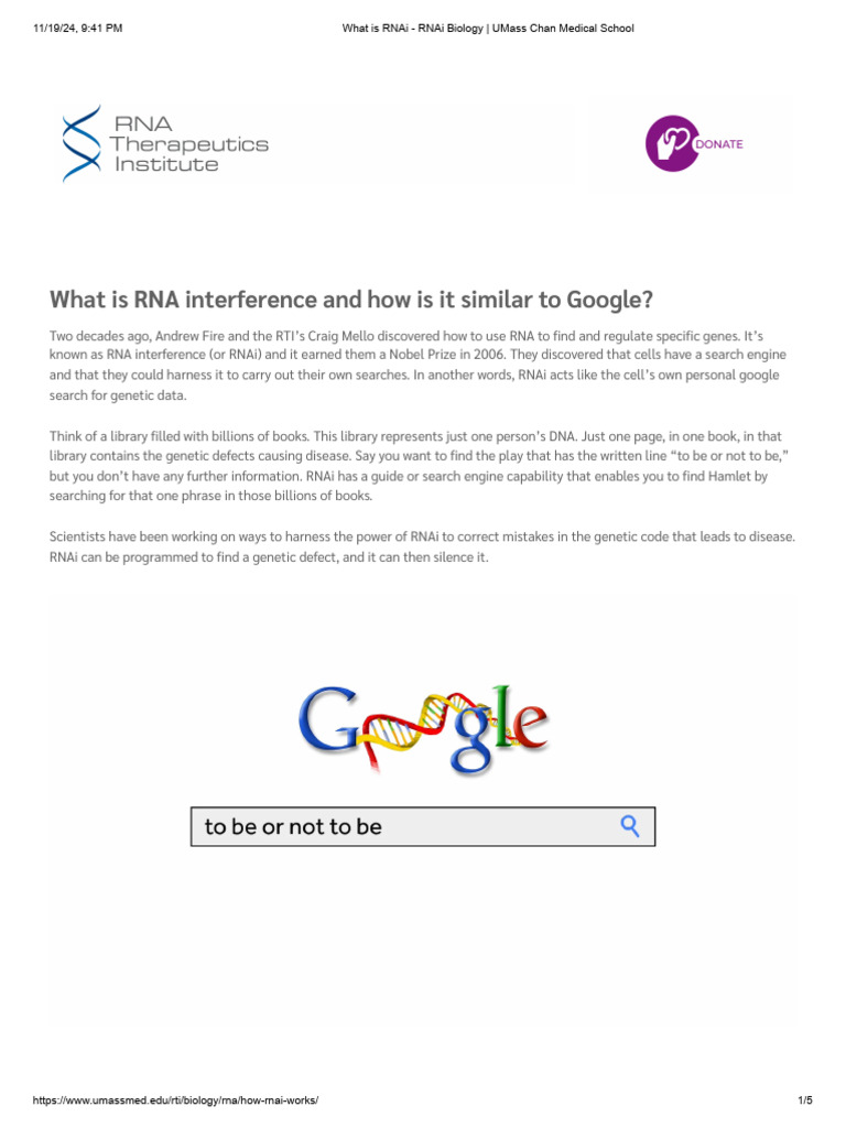 Understanding RNA Interference (RNAi) | PDF | Rna Interference | Rna