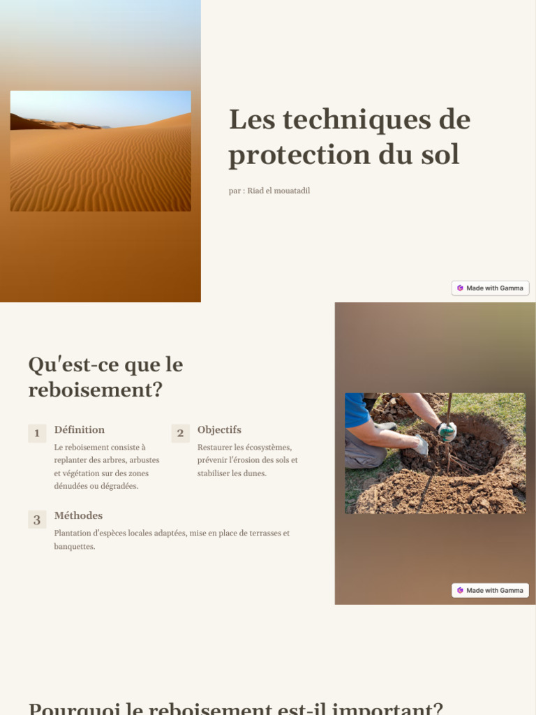 Techniques de protection des sols côtiers | PDF | Dune | Sol (pédologie)