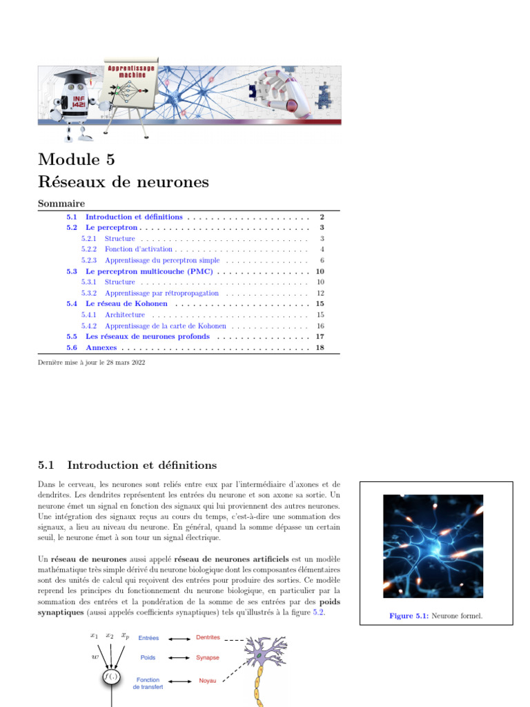 Introduction aux réseaux de neurones | PDF | Réseau de neurones ...