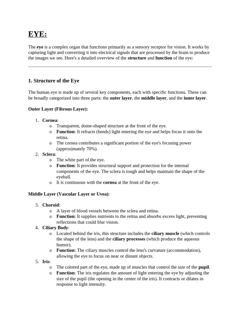 Structure of the eye pdf eye human eye