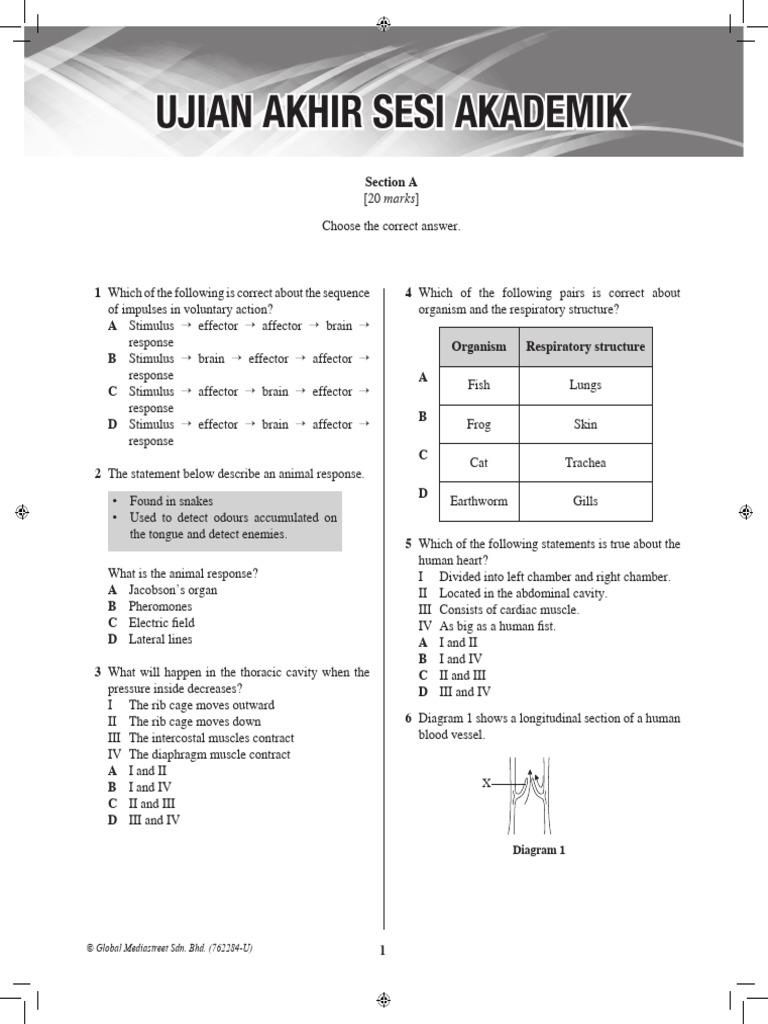 Ujian Akhir Sesi Akademik Science Form 3 | PDF | Potential Energy ...