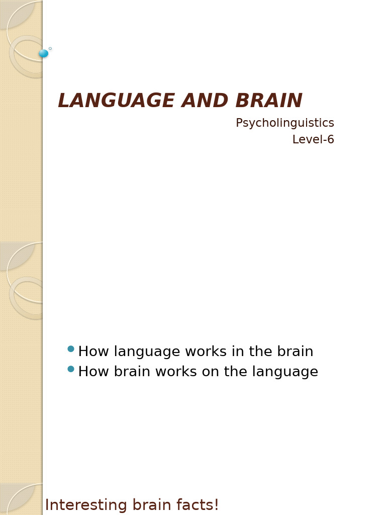 Language Processing in the Brain | PDF | Cerebral Hemisphere ...