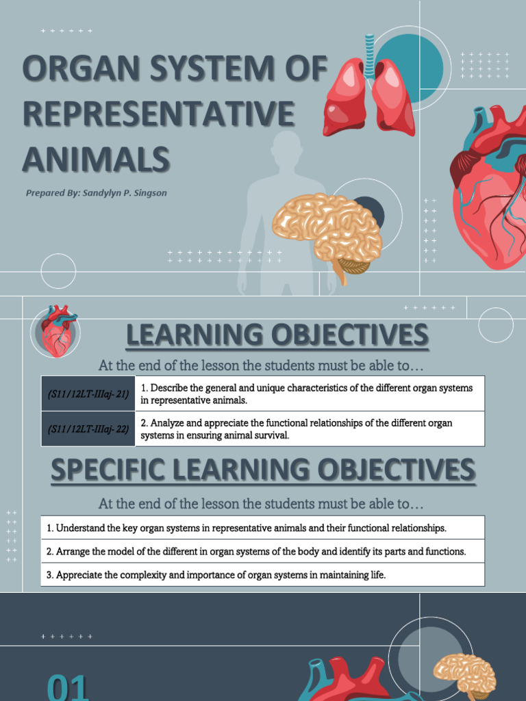 ORGAN SYSTEM OF REPRESENTATIVE ANIMALS | PDF | Human Body | Animal Anatomy