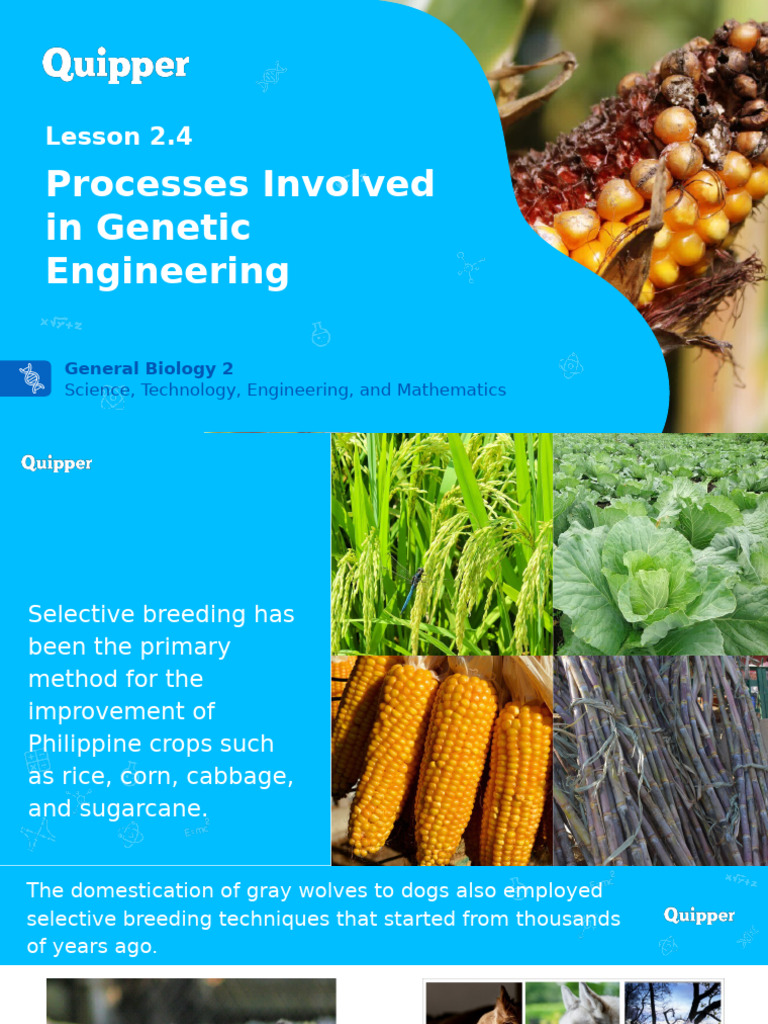Bio2 11 - 12 Q3 0204 PF FD | PDF | Genetic Engineering | Recombinant Dna