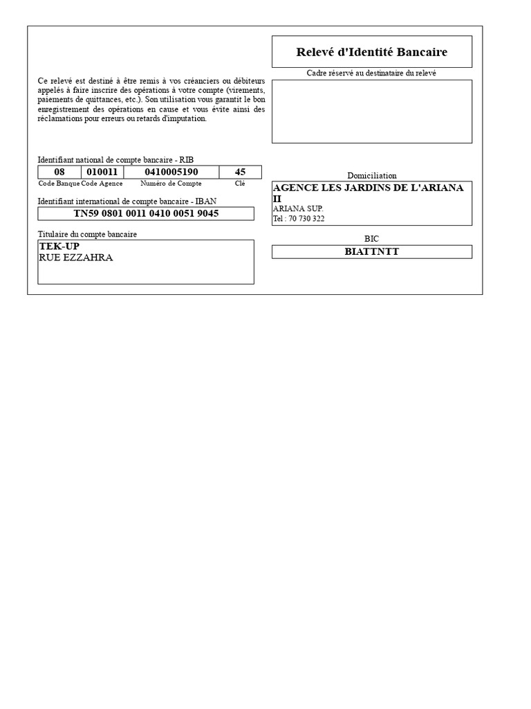 Relevé d'Identité Bancaire (RIB) | PDF