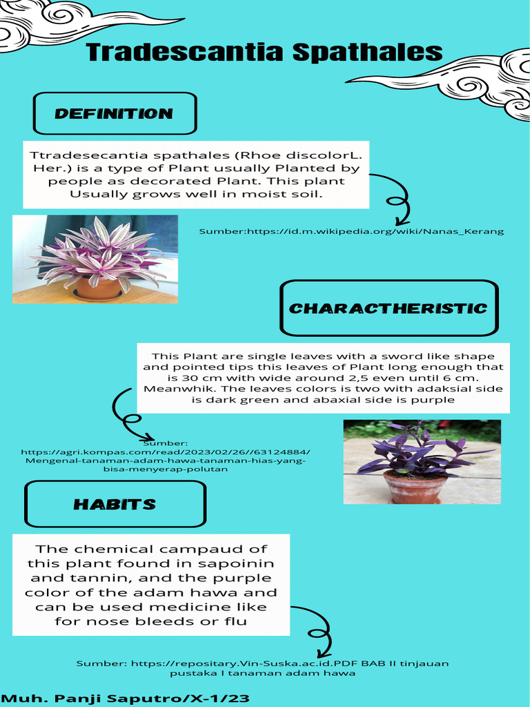 tanaman-adam-hawa-pdf