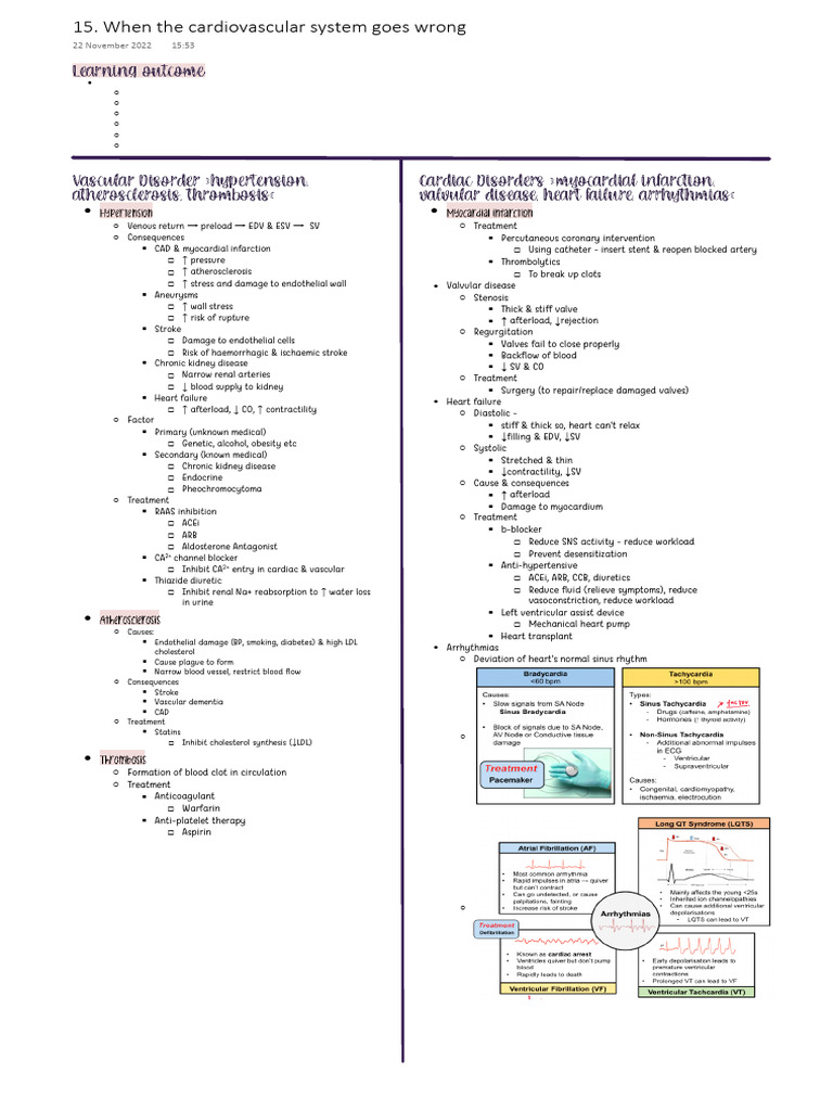 Hypertension and Cardiovascular Disease Management | PDF | Heart ...