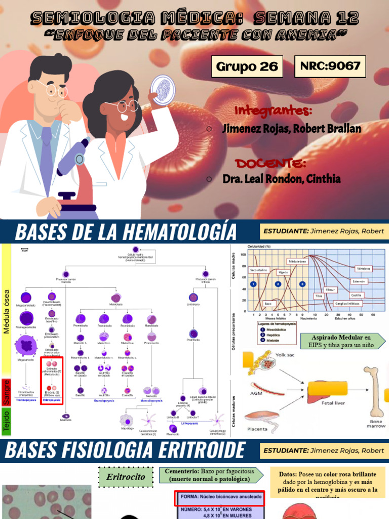 Enfoque Clínico de la Anemia | PDF | Anemia | Glóbulo rojo