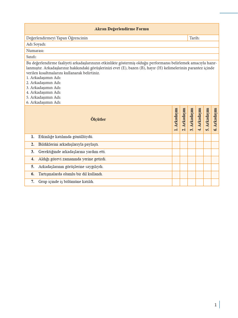 2 5 AKRAN Degerlendirme Formu | PDF