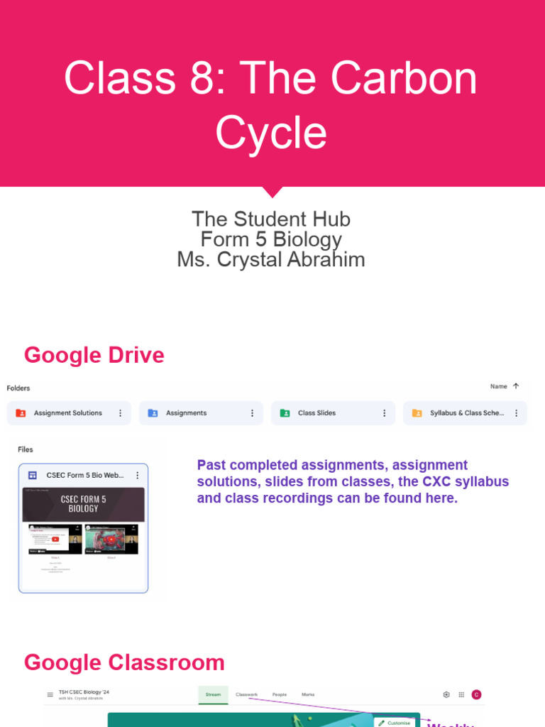 Understanding the Carbon Cycle | PDF | Carbon | Fuels
