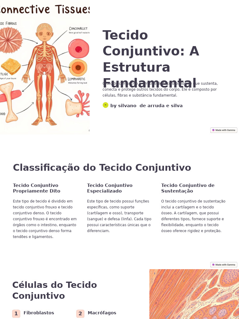 Tipos e Funções do Tecido Conjuntivo | PDF | Tecido conjuntivo | Corpo ...