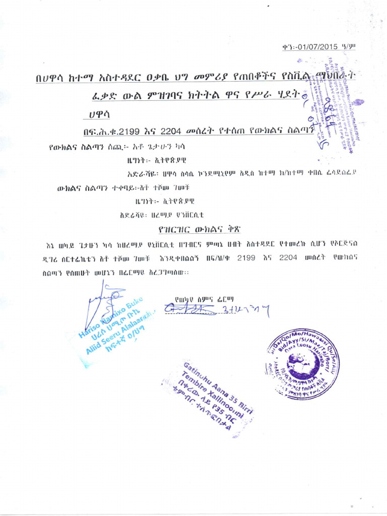 Gech Teshe | PDF