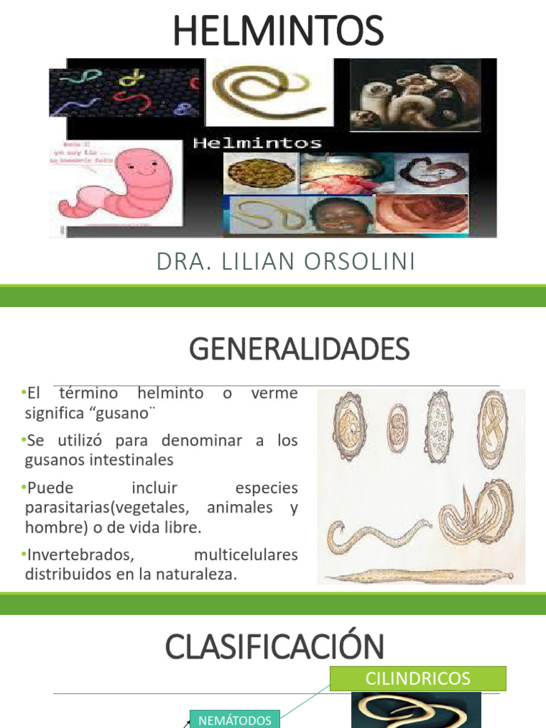 Helmintos: Clasificación y Ascaris | PDF | Nematodo | Sistema digestivo ...