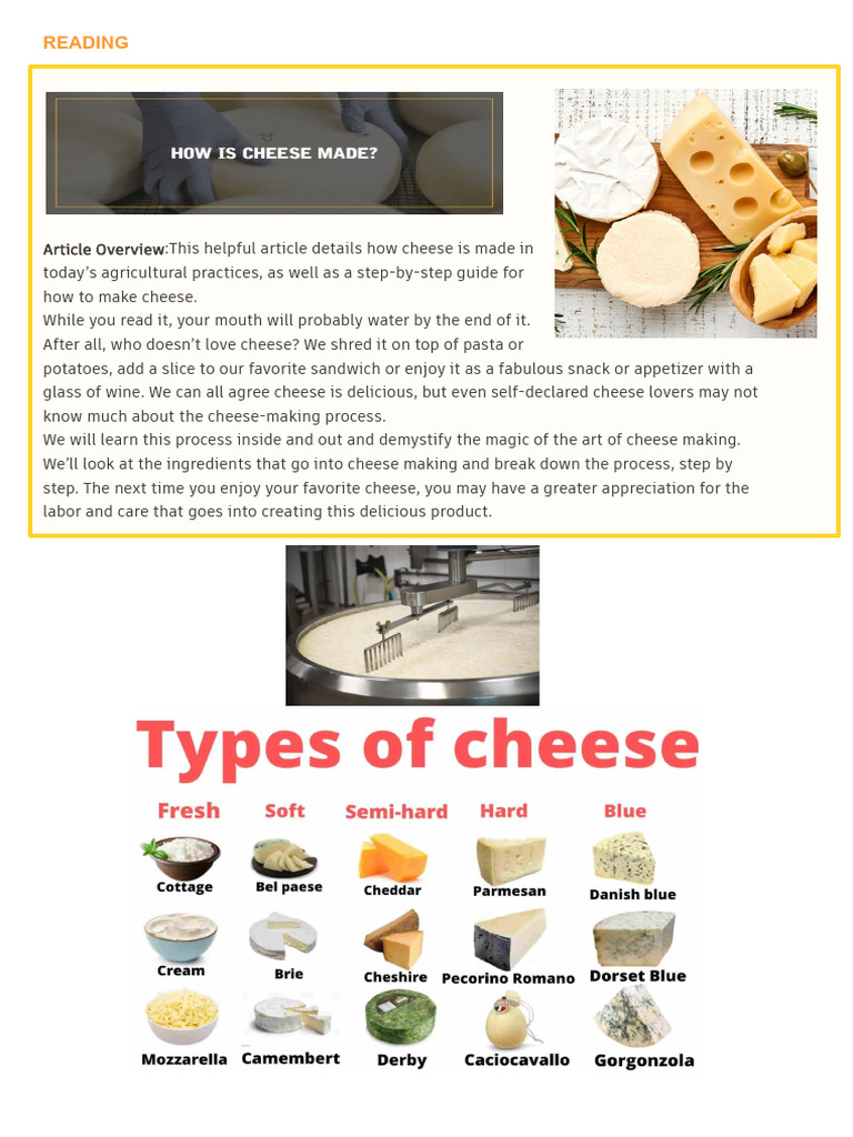 Cheese Making Process | PDF | Cheese | Dairy Products