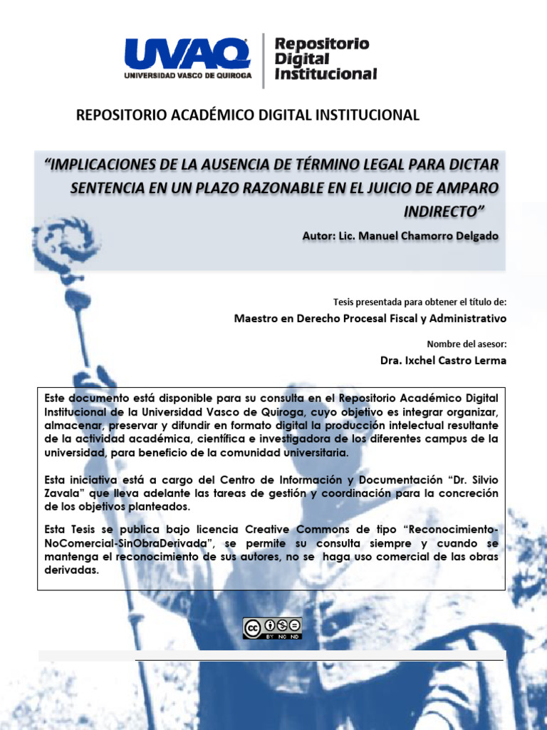 Plazo Razonable en Juicio de Amparo | PDF | Caso de ley | Constitución